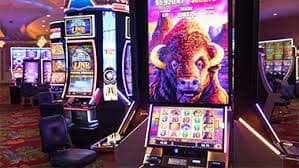 up786 game